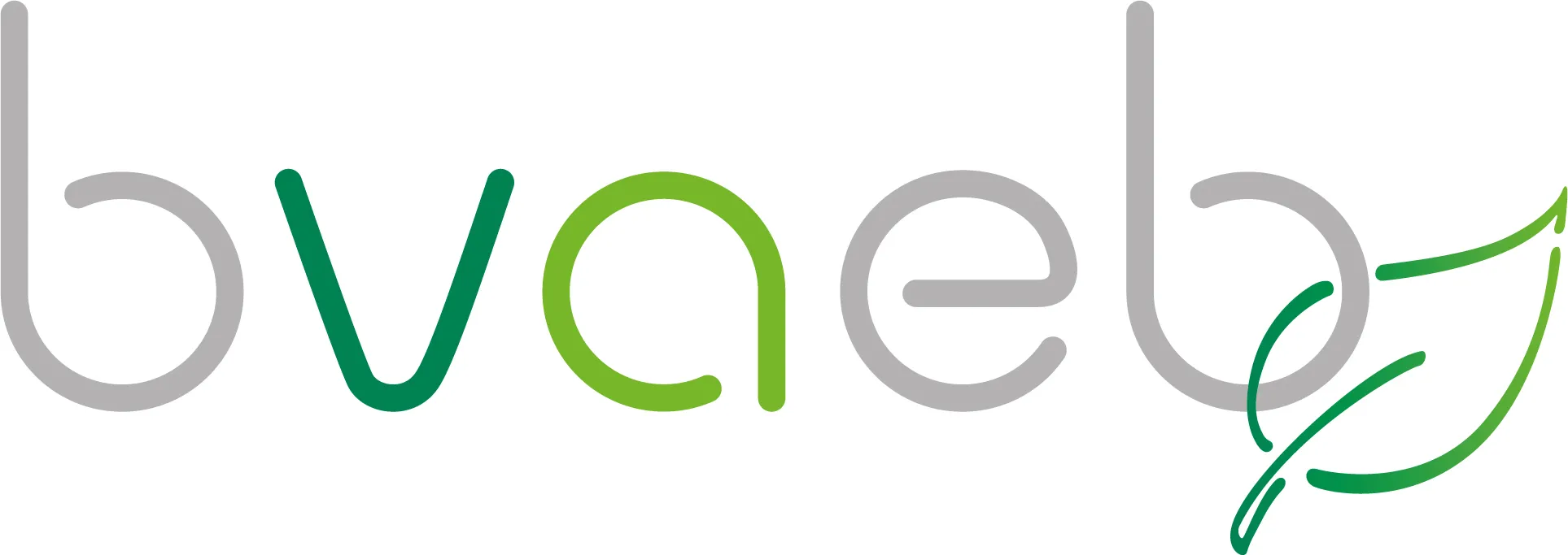 BVAEB Logo