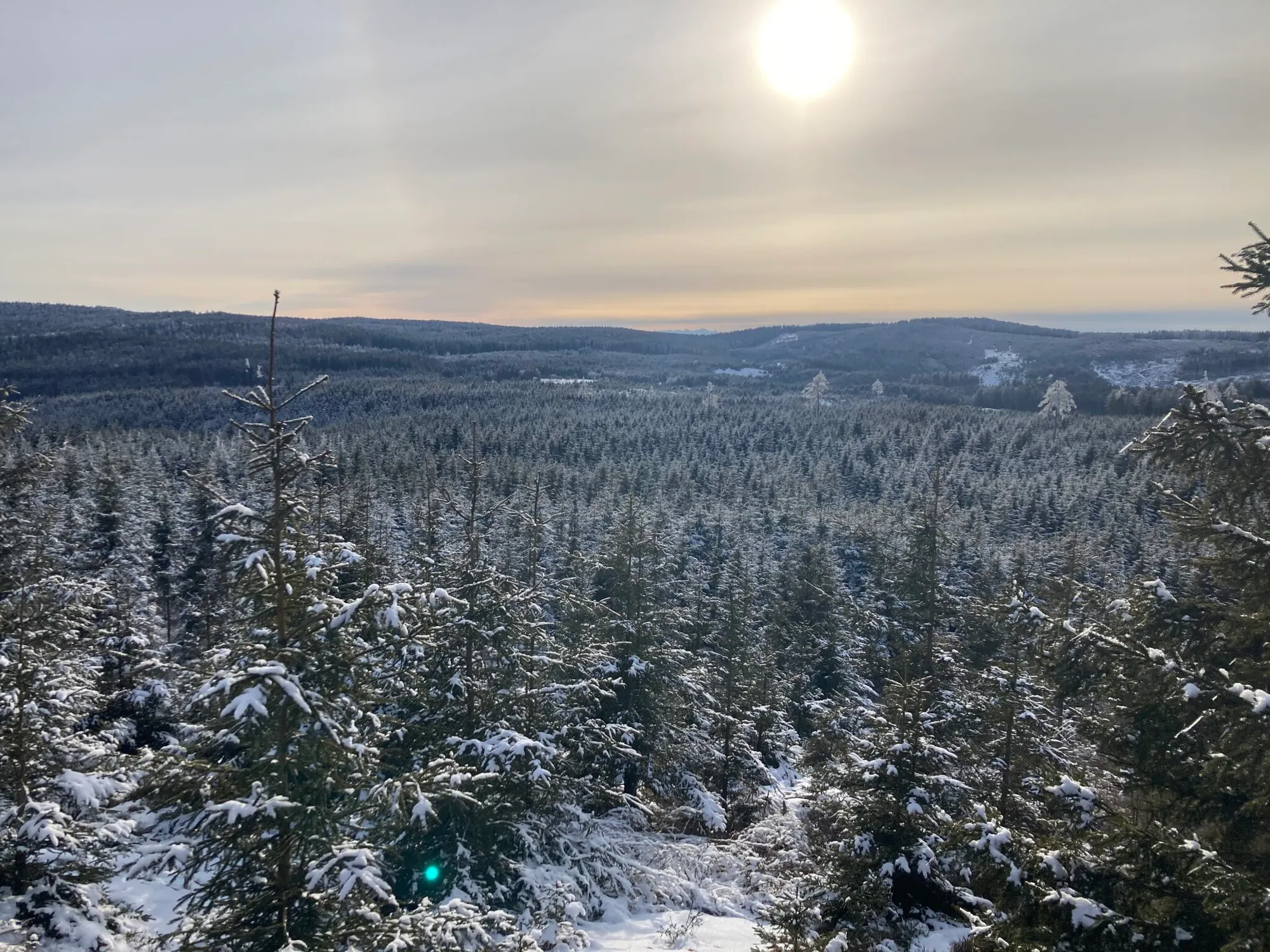 Verschneite Wälder des Waldviertels aus der Vogelperspektive